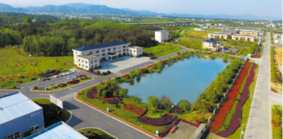 1692434575848618.png image.png